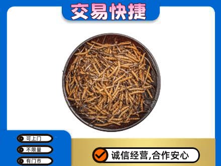 安康紫阳县回收散虫草